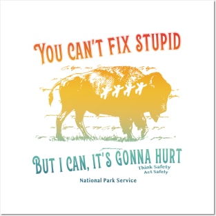 You Can't Fix Stupid But I Can Posters and Art